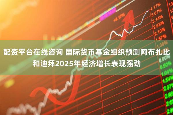 配资平台在线咨询 国际货币基金组织预测阿布扎比和迪拜2025年经济增长表现强劲