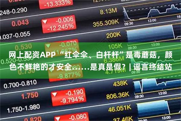 网上配资APP “红伞伞、白杆杆”是毒蘑菇，颜色不鲜艳的才安全……是真是假？| 谣言终结站